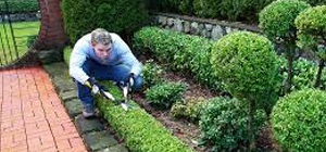 landscaping hamptons